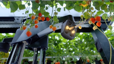 自動収穫のためのロボティクス技術を買収／Oishii Farm Corporation
